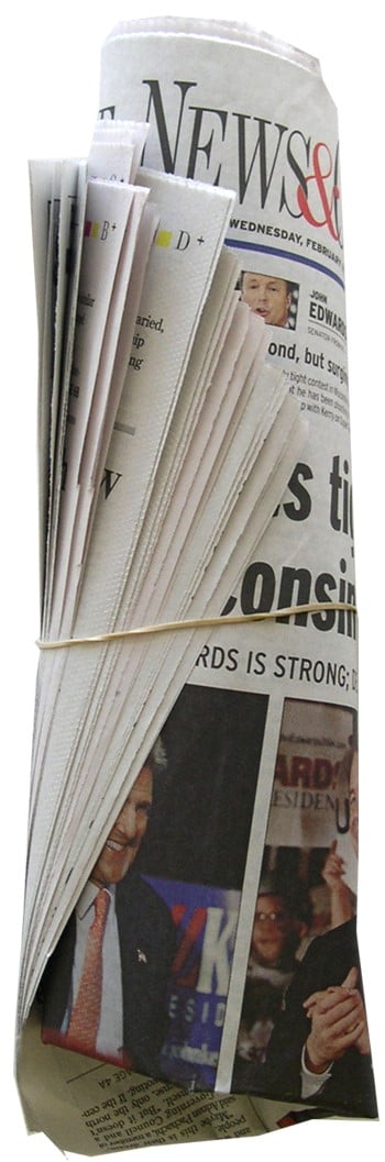 Newspaper