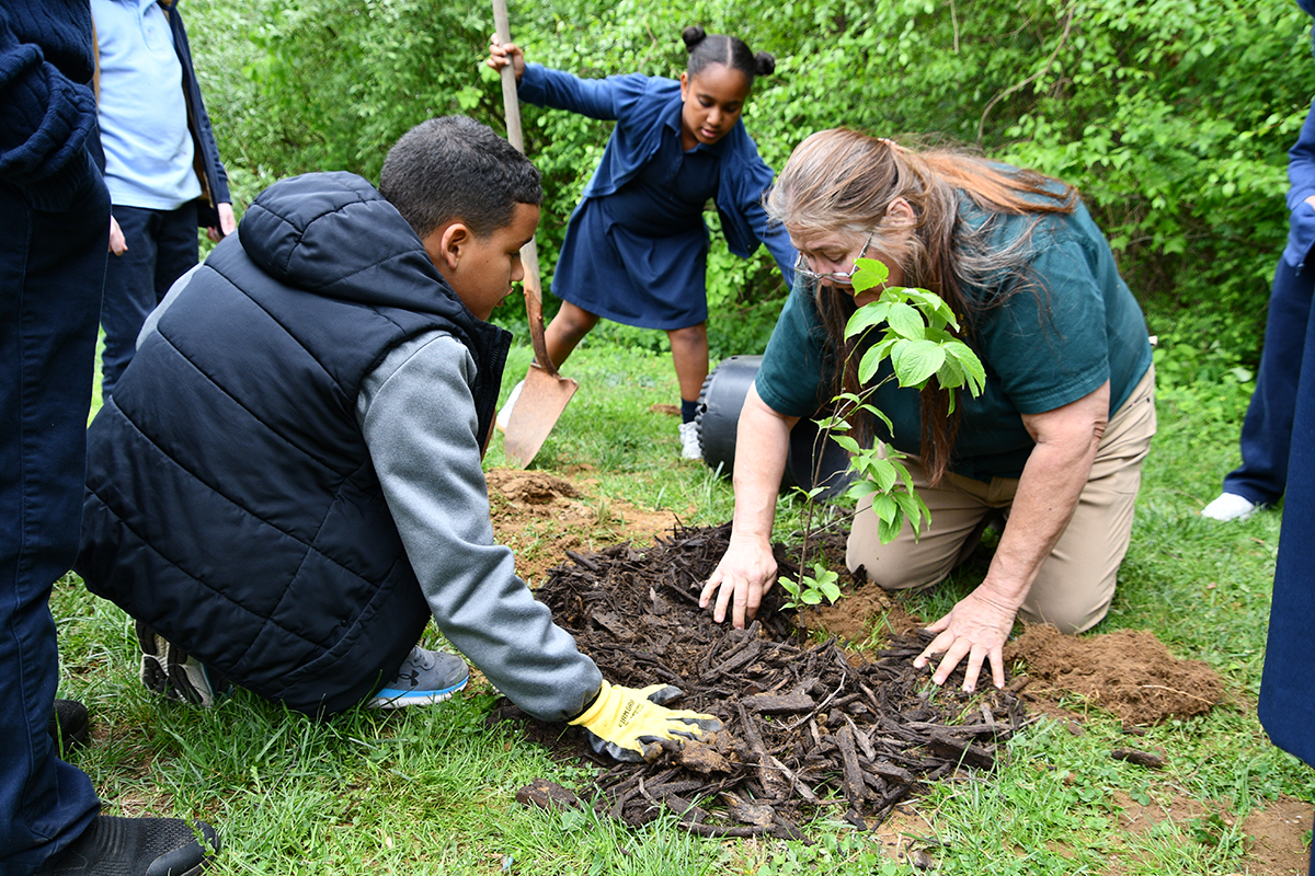 students-staff-planting-tree