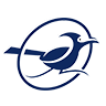 roadrunner logo blue and white