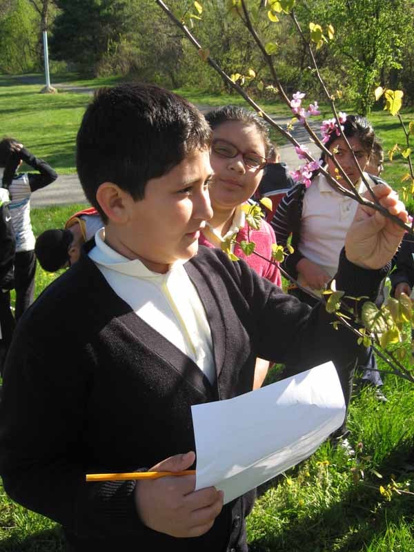 science-students-outside-studying-trees.jpg