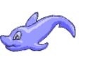 Dolphin.png