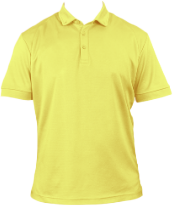 Golden-Rod-Polo.png