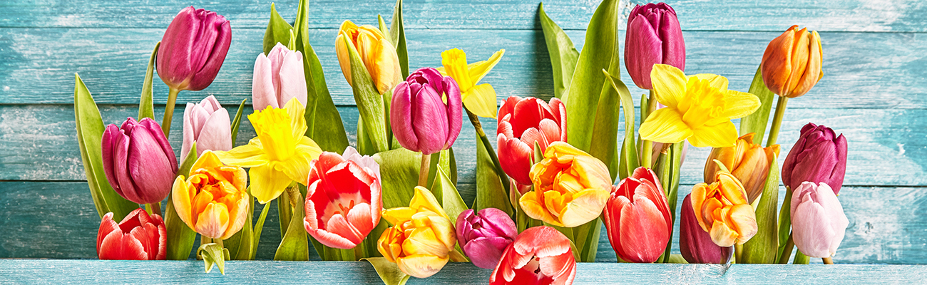 Spring Flowers in a Box