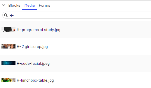 Asset-Image-Search.png