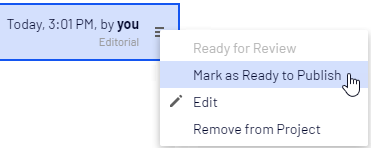 Project-Item-Context-Menu.png